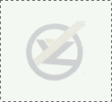 為什么要將商品從木質(zhì)托盤(pán)轉(zhuǎn)移到塑料托盤(pán)